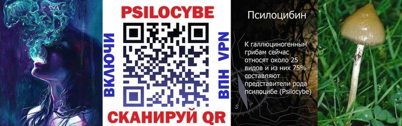 сколько стоит  Терек  Галлюциногенные грибы прущие грибы 